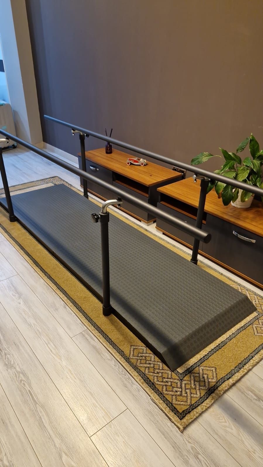TAGESAN Paralel Bar özel imalat 2 metre orjınal hasta yürüme platformu